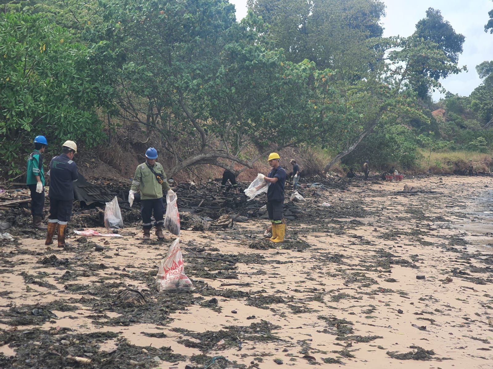 Sejumlah pekerja dari Asosiasi perusahaan Limbah Di Batam ikut membantu membersihkan pantai Rabu (04/02/2026)